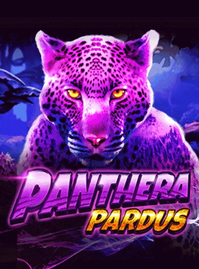 ffa999